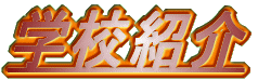 wZЉ 